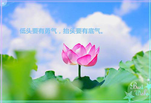 盛长明桑宁小说全文 盛长明桑宁小说免费阅读大结局