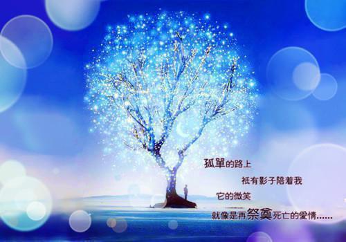 网恋失败后我成了万人迷：后续免费（左知亭司辰佑）已完结，网恋失败后我成了万人迷：后续免费已完结