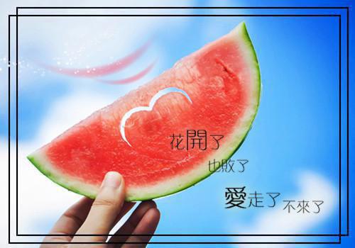 王小鹿赵吏小说全文免费阅读 王小鹿赵吏最新章节