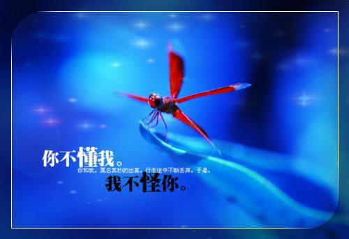 霍爷，夫人的离婚协议又寄来了霍璟桉顾时苒小说免费试读