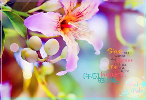 恨明月高悬不独照我免费阅读江晚星谢灼小说第一章