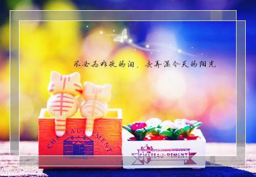 野火后肆意生长刘依萍许佳明最新章节在线阅读