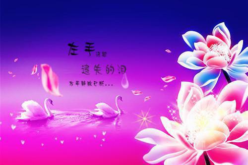 宋柚宁江聿林免费小说 宋柚宁江聿林在线阅读