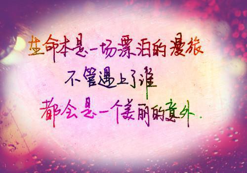 沈初梨季宴州小说全文免费阅读 沈初梨季宴州最新章节