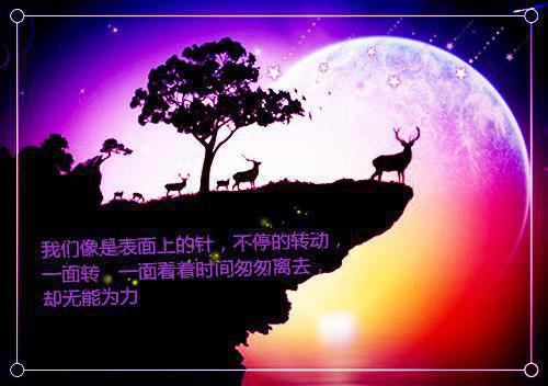 许清辞许程童瑶是啥小说 许清辞许程童瑶免费阅读无广告
