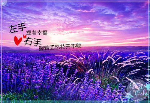 霍震霆舒琪最后结局 霍震霆舒琪完结版免费阅读