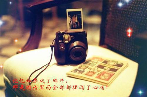苏晓秋陆经年第4章 苏晓秋陆经年小说免费阅读