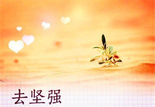 宋晚情傅司寒《向来如梦佳期免费阅读》小说在线阅读