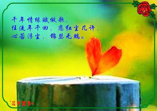 苏婷夏静是哪部小说的主角 苏婷夏静全文阅读