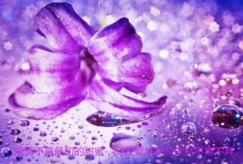 苏苒傅三少(苏苒傅三少)小说全文免费阅读无弹窗大结局_（苏苒傅三少全文免费阅读）苏苒傅三少最新章节列表（苏苒傅三少）