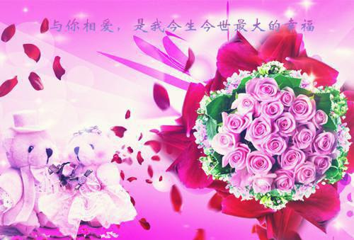 逃离前夫八年后，寻亲节目找上我王子轩王启平免费章节在线阅读