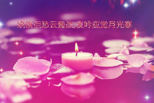 叶淼淼宋津年是什么小说的主人公 叶淼淼宋津年免费阅读