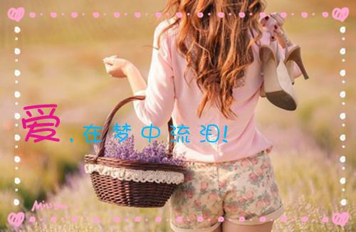 陆昭苏晚全文免费 陆昭苏晚在线阅读