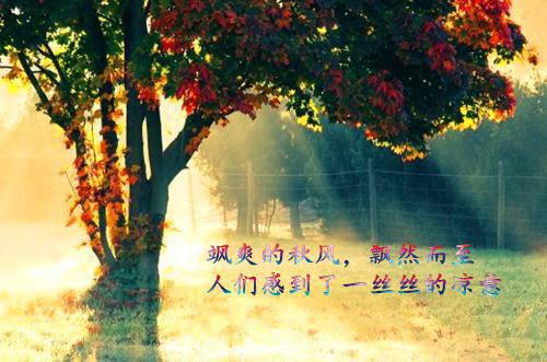 林淮煜季妍汐全文免费阅读最新 林淮煜季妍汐第5章