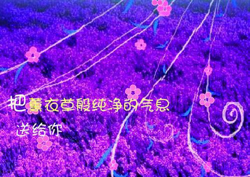周铮赵斐周衡谢臻的故事 为了赢得白月光，我被皇帝和摄政王拿来当赌注章节阅读