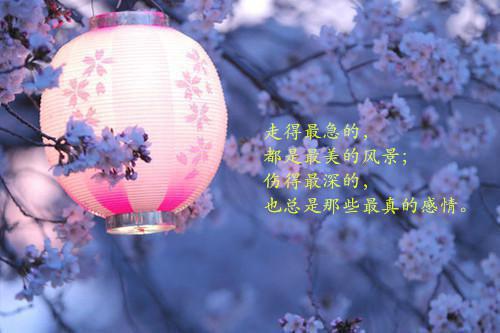 你与星河皆遗忘乔以宁陆砚深：全文+后续(结局) 乔以宁陆砚深免费阅读全文