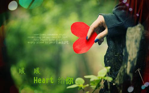 我支持真千金点天灯后，全家慌了无广告 宋欣池若暄在线免费阅读