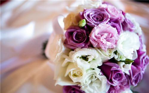 主角苏瑶婉云逸尘小说 苏瑶婉云逸尘小说全文免费阅读