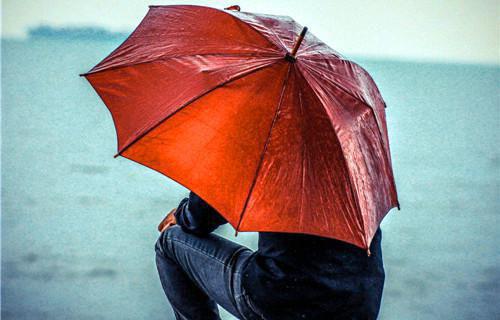 李小浪赵菲菲小说在线阅读 李小浪赵菲菲最新章节目录