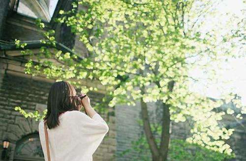 渣妻情窦初开？我放她追求真爱：+后续+结局（顾行舟江揽月）最新章节列表_渣妻情窦初开？我放她追求真爱：+后续+结局（顾行舟江揽月）渣妻情窦初开？我放她追求真爱：+后续+结局在线阅读