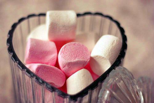 苏清颜贺寒烬第3章 苏清颜贺寒烬小说免费阅读