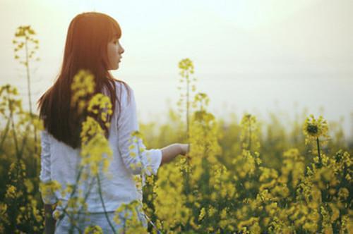 舒婷小李免费小说 舒婷小李完结版在线阅读