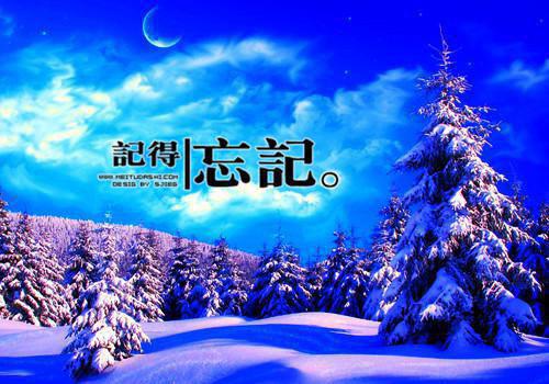（书荒必看）穿越原始，我成了野人的心尖宠小说TXT无套路阅读