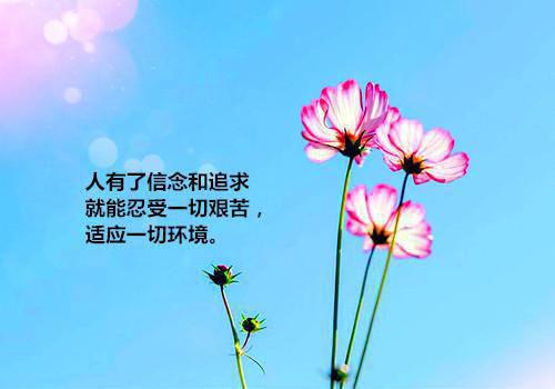 想骗情？那就别怪我开虐了全面完结最新小说（温栀妍沈霁寒）全文阅读
