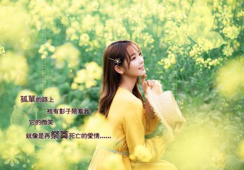 坠崖换人：小说全文+后续佚名 卫澄赵明窈昭言陆芙茵小说