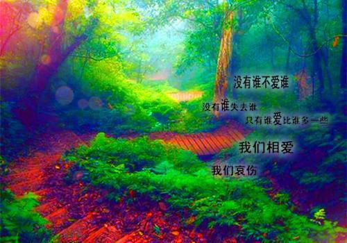 (最新)傅昭懿傅昭宁小说完整版免费阅读