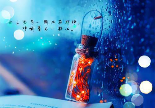 未婚妻和初恋旧情复燃，怀了初恋孩子最新更新 黎雨柔宋墨小说在线阅读