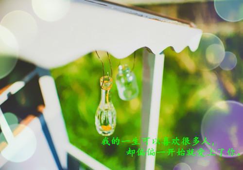 霍霆琛秦苒完整未删减版在线阅读 霍霆琛秦苒结局