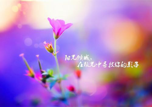 假千金想让我死？我先让她生不如死免费试读 姜沅姜绮容小说第7章