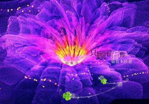 温苒霍明韫最后结局 温苒霍明韫完结版免费阅读