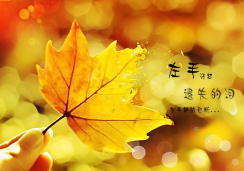 江子安江子明全文最新章节正版小说免费阅读