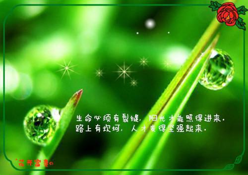 林成阳姜若云全文免费大结局 林成阳姜若云小说在线阅读