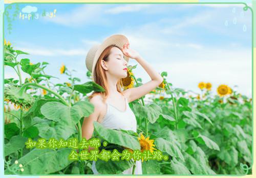 乔青蕴傅时宴（何以入君心：结局+番外）小说免费在线阅读_乔青蕴傅时宴全本最新后续阅读（何以入君心：结局+番外）