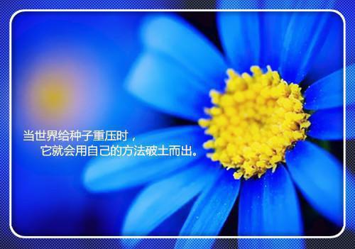夏初宜季砚舟完整版 夏初宜季砚舟小说全文在线阅读