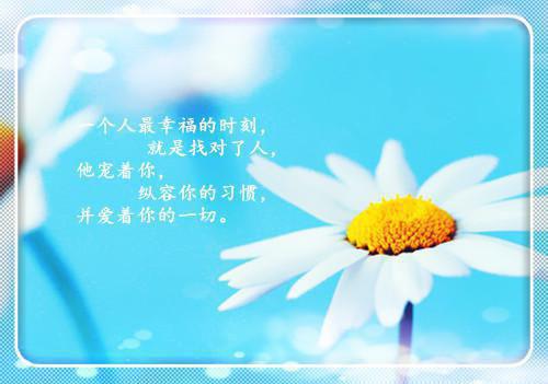 贺临洲季寻舟免费阅读第1章 贺临洲季寻舟大结局