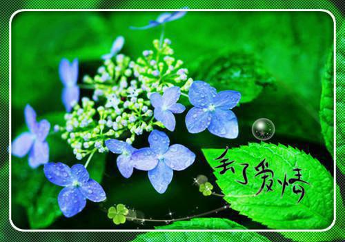 资本家的小姐,她锱铢必较(结局) 宋岩方丽梅免费阅读全文