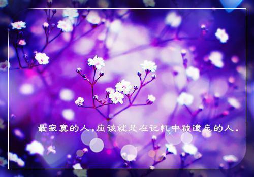 谢昭沈素玉芸娘免费阅读小说 谢昭沈素玉芸娘第3章