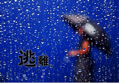 向来如梦佳期免费阅读全文目录 宋晚情傅司寒小说免费阅读无广告
