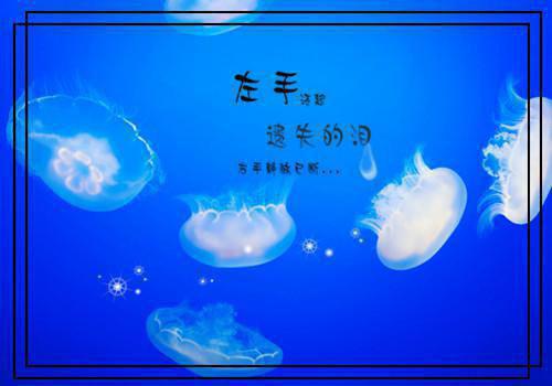 与抽签选中的佛子订婚后，抛弃我的竹马悔疯了(佚名)小说最新章节