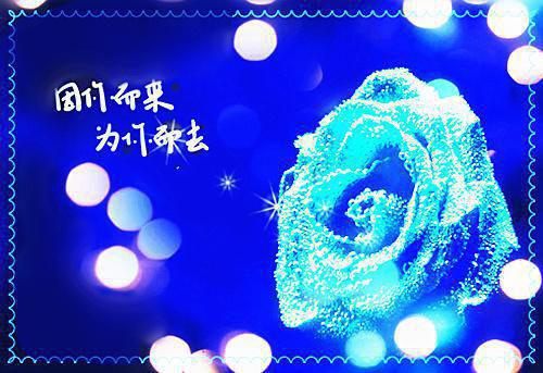 陆明骞袁星晚《一念明灭，爱意似星落》小说在线阅读