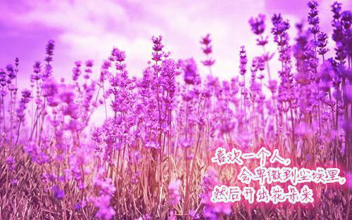 中蛊后他爱上花魁，我转身嫁竹马免费试读 李长风周婉小说