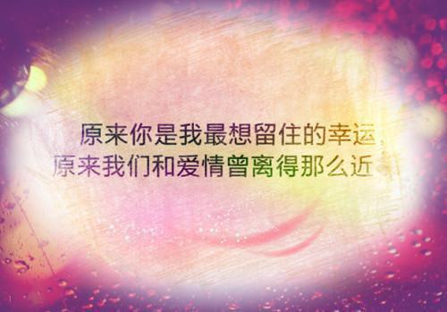 张咲是啥小说 张咲免费阅读无广告
