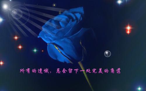宋闻韶傅寒声全文免费 宋闻韶傅寒声在线阅读