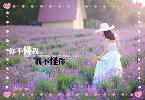 乔湛裴柯宁姜知允小说免费试读 乔湛裴柯宁姜知允第十七章