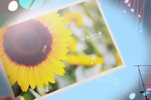 主角是桑绮霓霓的小说免费阅读全文大结局
