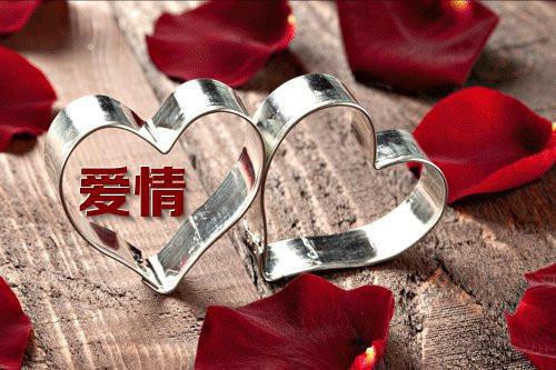 穿越十年后，我开始虐渣夫乔野顾明哲最新章节在线阅读